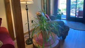 A cozy living room with a wooden floor, a red armchair, a floor lamp, and a potted plant. - Kaslo Getaway - private and natural experience. (Kaslo)