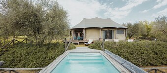 Luxury Tent Experience into Tuscany Olives Grooves Hill