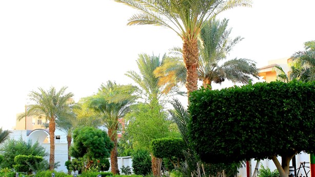 Unclassified image, 1 of 9, button - 100 Night per year at Grand Blue Hotels (Cairo)