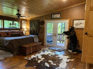 6 chambres, bureau, fer et planche à repasser, Wi-Fi gratuit