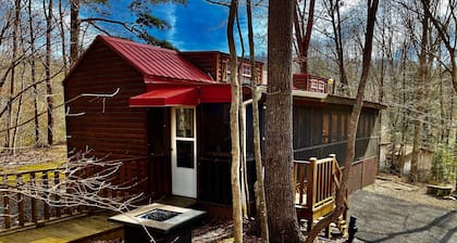 «Porche et pin» pas si petit minuscule cabane en rondins