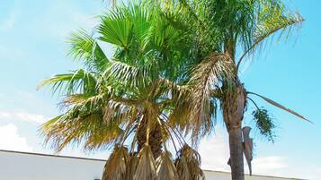 Façade de lâhĂ©bergement