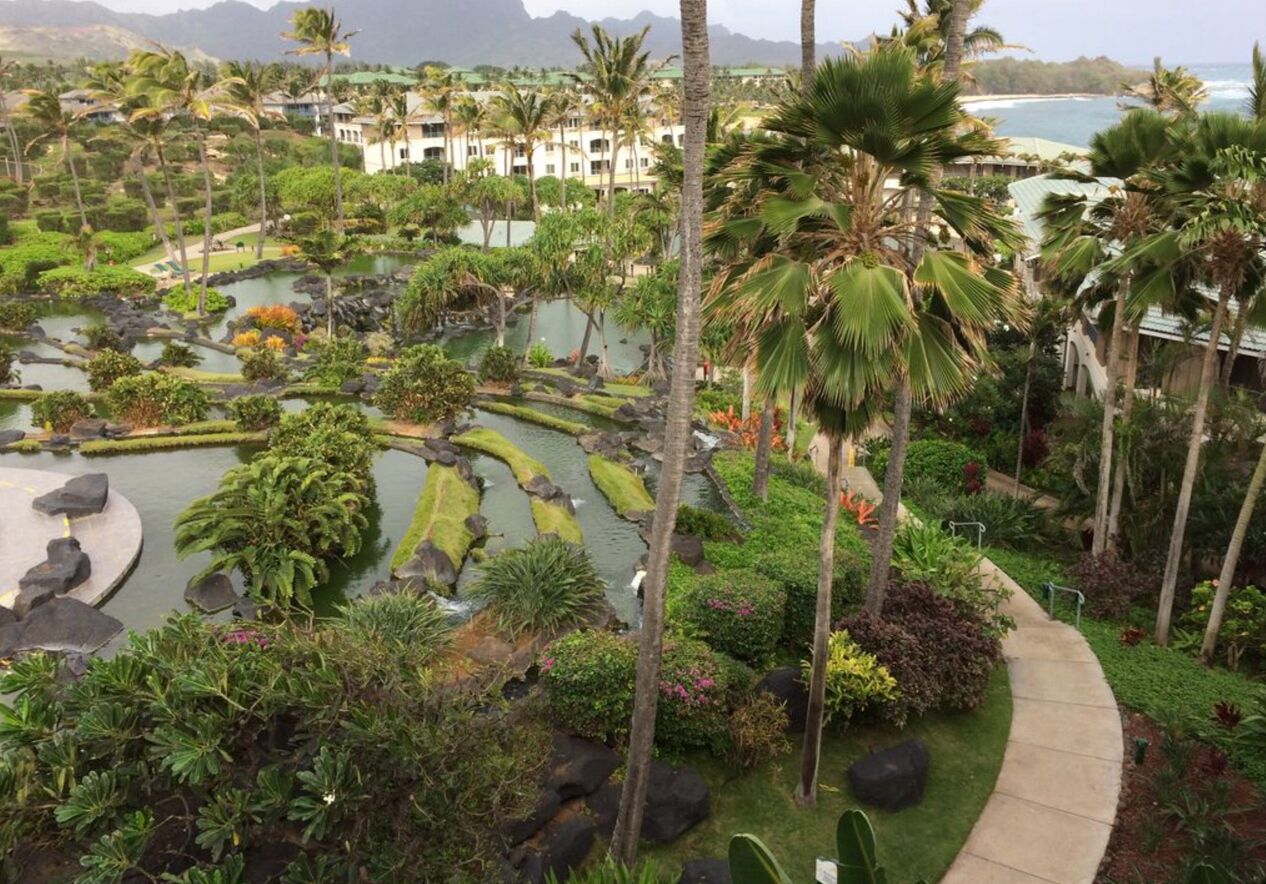 Áreas de la propiedad