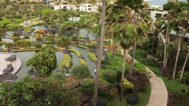 Ein Resort mit angelegtem Garten, Palmen und Blick auf den Ozean.