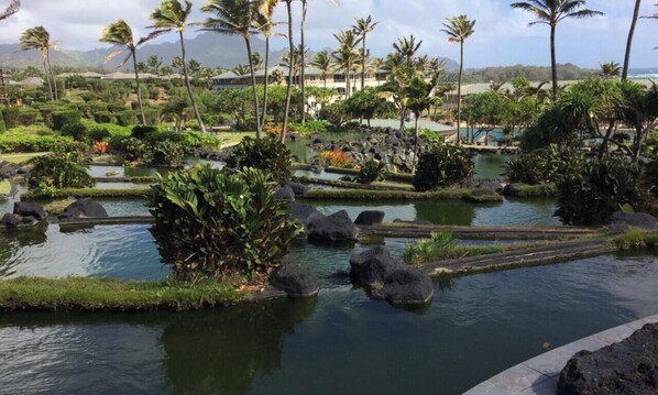 Property grounds - Pt. at Poipu, Kauai 2 bedrooms, 2 baths, full kitchen (Koloa)