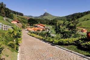 Chambre Standard, vue jardin | Vue sur le jardin