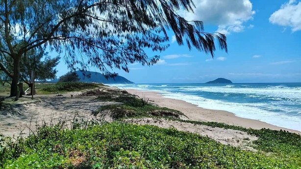 A beach with a clear sky, ocean waves, and a tree in the foreground. - Casa Pátio Grande / 8 people - Praia do Moçambique (Florianópolis)