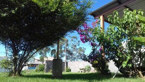 A grassy area with a large tree and a flowering bush. - Casa Pátio Grande / 8 people - Praia do Moçambique (Florianópolis)