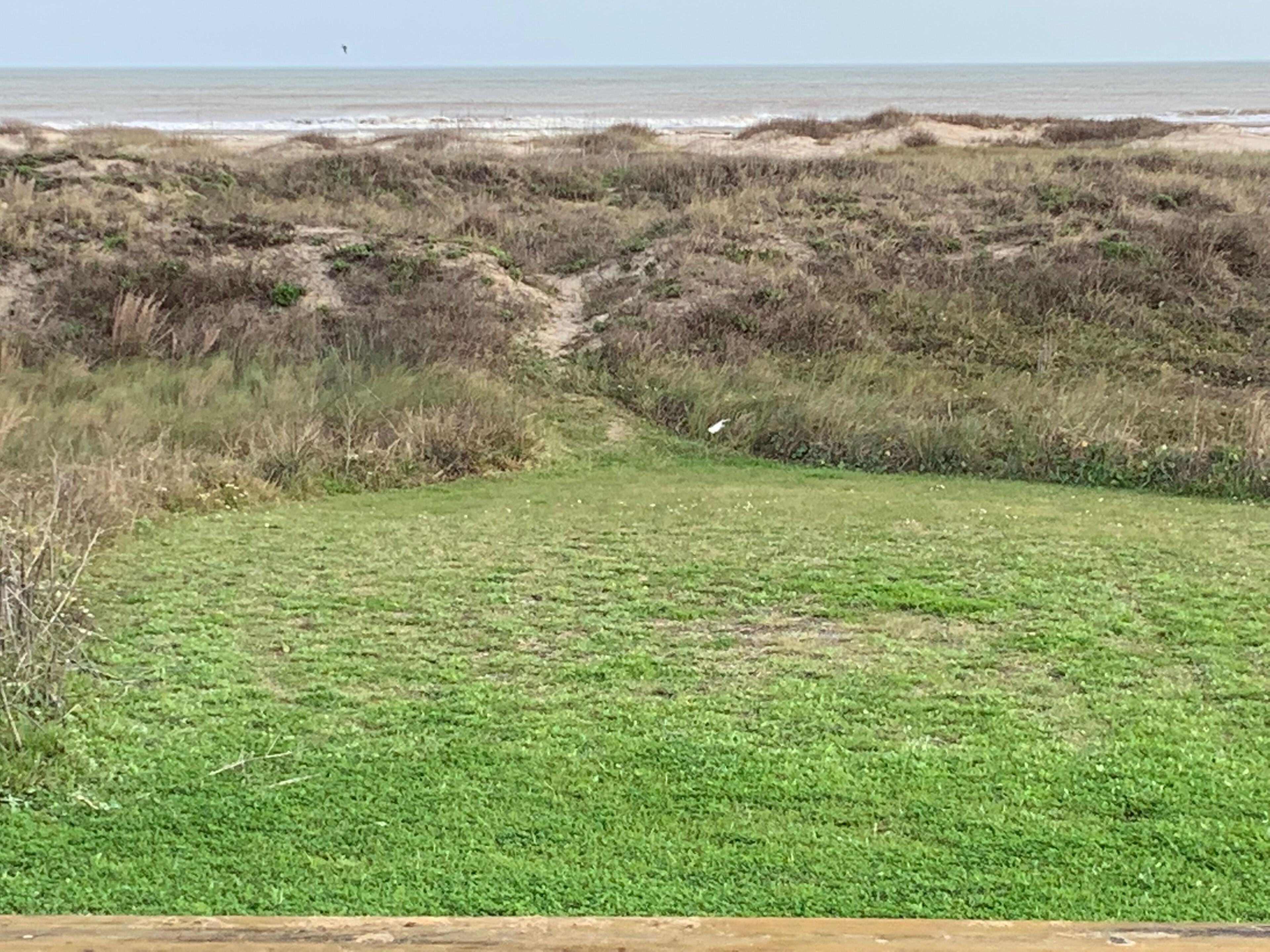 Un espacio cubierto de césped con un sendero que lleva a la playa.