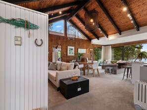 TV connectée, cheminée, lecteur de DVD, livres