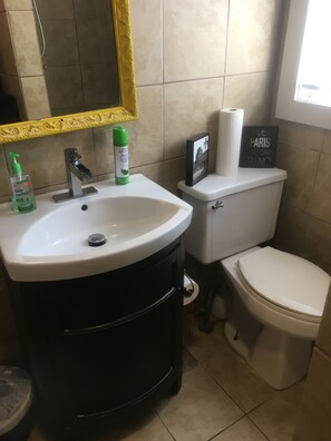 Shower, towels, toilet paper