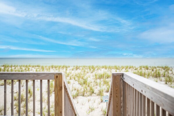 Terrain de l’hébergement 