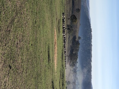 Relaxing Peaceful well equipped Farm stay