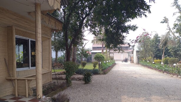 A building with a checkered entrance, a gravel driveway, and a garden with various plants and a tree. - Hotel Tress House (Sauraha)