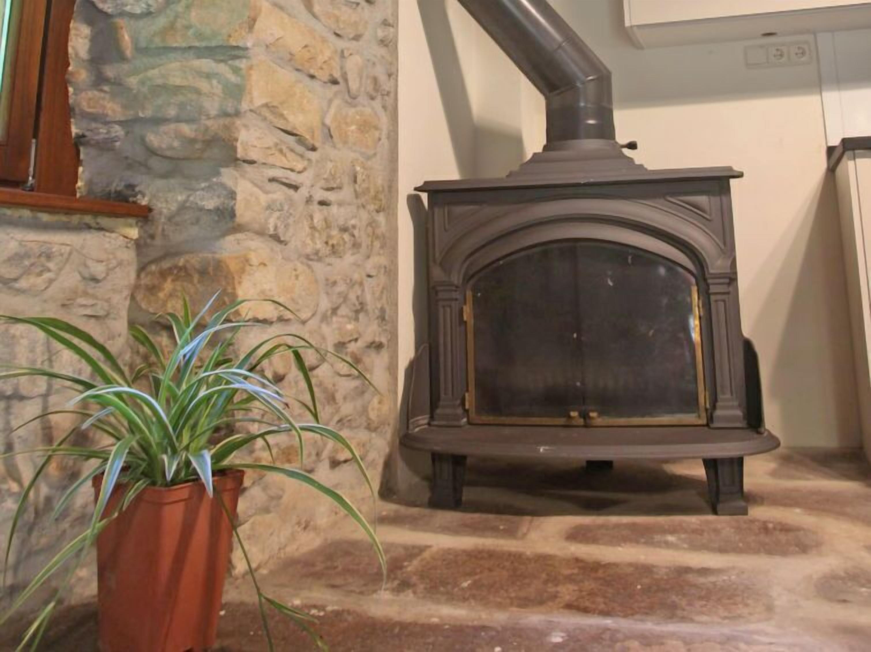 A stone wall, a potted plant, and a wood-burning stove.