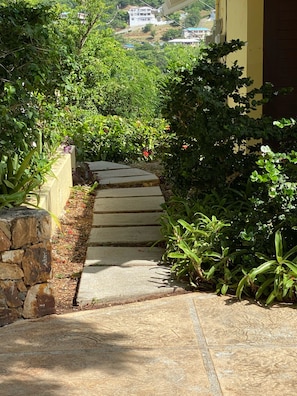 Property grounds - 4bd 4.5 baths House and two private apartments. Beautiful views! Self check in! (St Thomas)