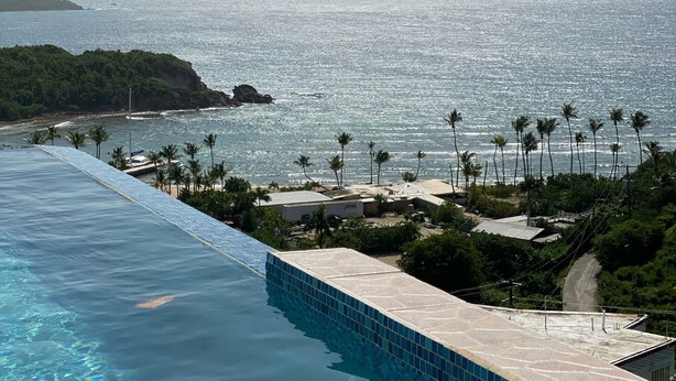 A pool with clear blue water, a view of the ocean, and palm trees.