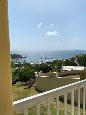 Property grounds - 4bd 4.5 baths House and two private apartments. Beautiful views! Self check in! (St Thomas)