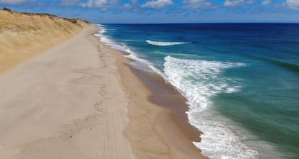 # 211: Welpenfreundlicher Kurzurlaub am Strand! Spazieren Sie zu den atemberaubenden Sonnenuntergängen in der Bucht!