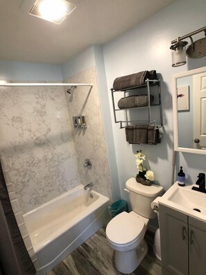 Combined shower/tub, hair dryer, towels, soap