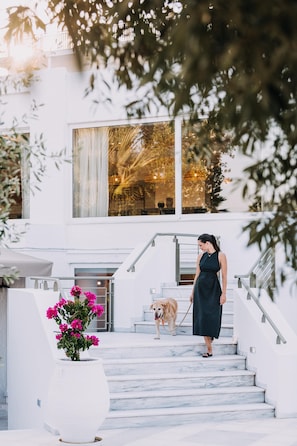 Pet-friendly - Brown Beach Evia Island, a member of Brown Hotels (Eretria)