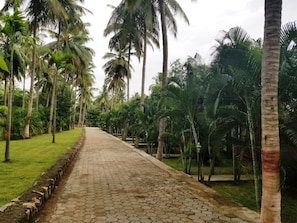 Front of property - Ibex River Resort , Pollachi (Anaimalai)