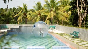 Piscina límpida com bordas azulejadas, rodeada por palmeiras e um banco.