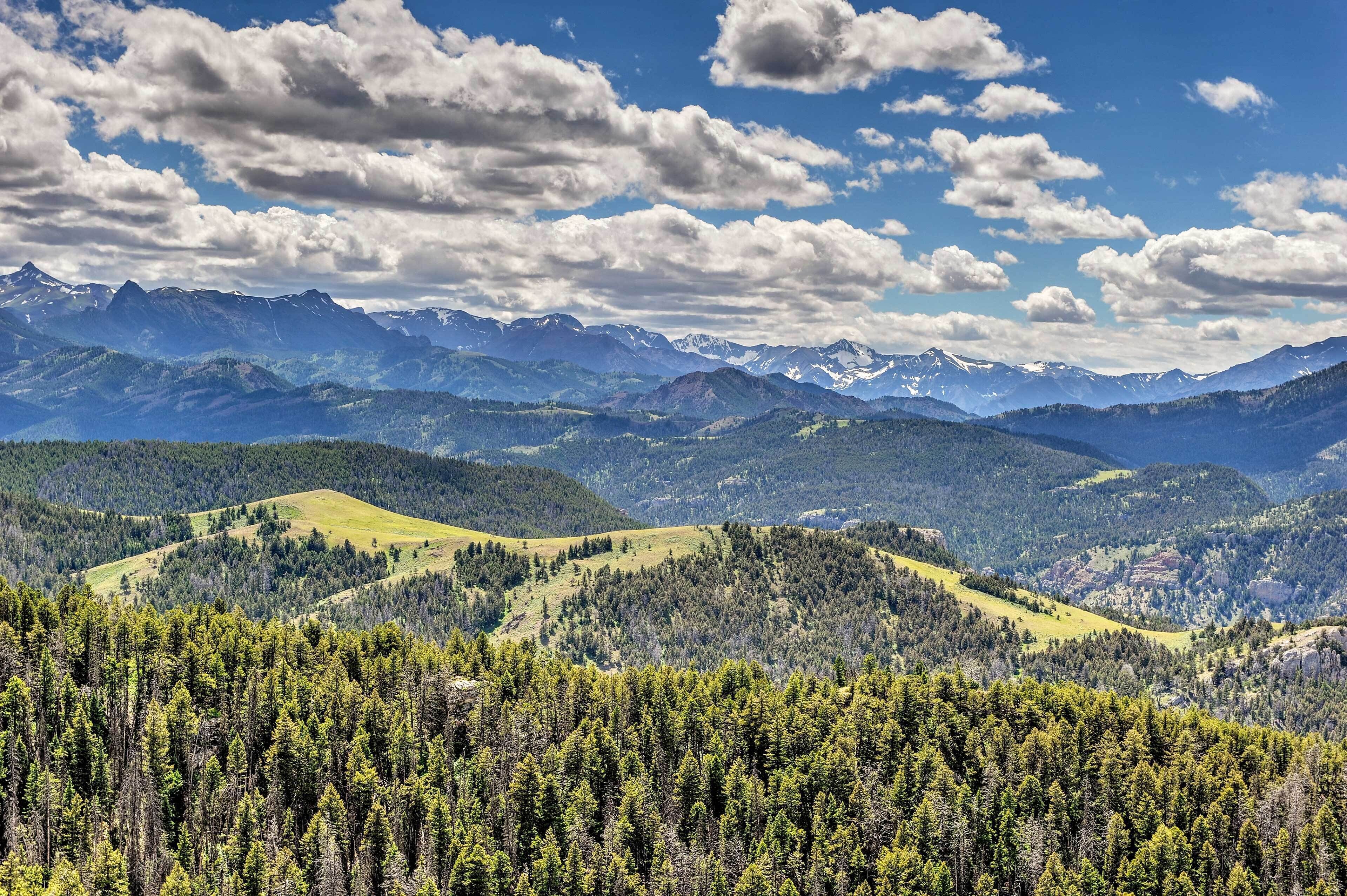 Paisaje montañoso con un valle boscoso y picos nevados en la lejanía, bajo un cielo parcialmente nublado.