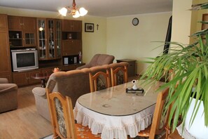 Fernseher, Kamin