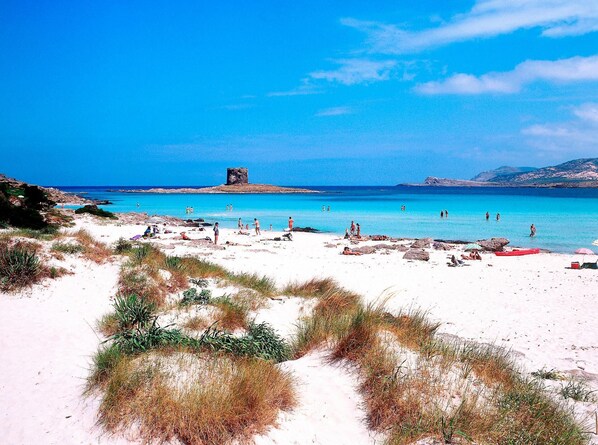 Plage, chaises longues