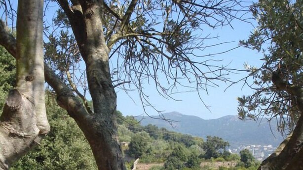 A terrace with a view of a hilly landscape, wooden chairs, and a railing. - Ground floor of beautiful villa T2 - 70 m2 - 4 people with magnificent sea views (Bastia)