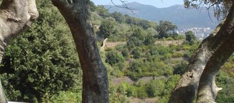 Rez de jardin villa superbe T2 - 70 m2 - 2 à 4 personnes avec vue mer magnifique