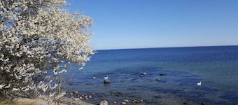 1 room-Whg., Beach location, panoramic view, WiFi, 33sqm, 8 sqm balcony