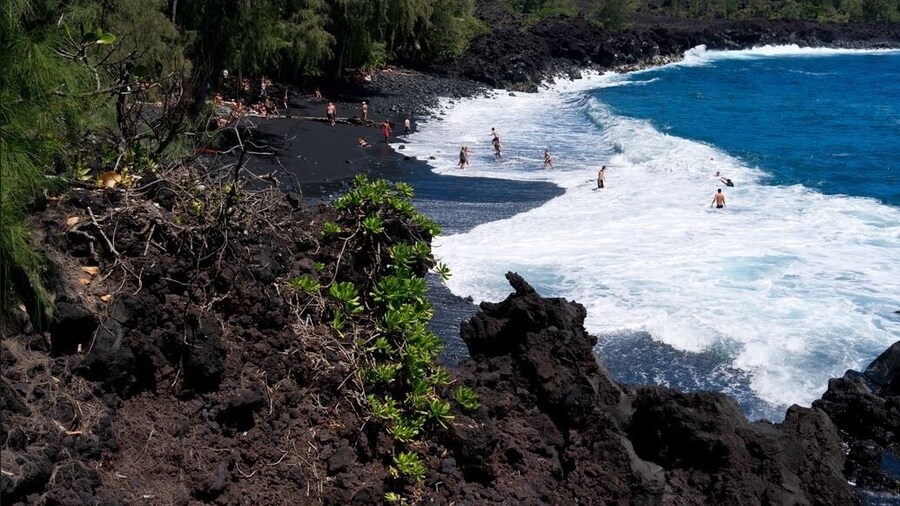 Kehena Treetop 1 Bedroom Home by RedAwning