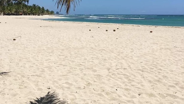 Una playa arenosa con palmeras y un cielo azul despejado.