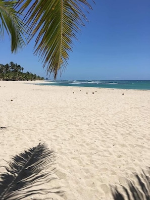 A sandy beach with palm trees and a clear blue sky. - Caribbean Sea view large beach entire condo free wifi & netflix (Playa Juan Dolio)