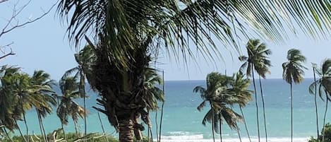Plage, chaises longues, serviettes de plage