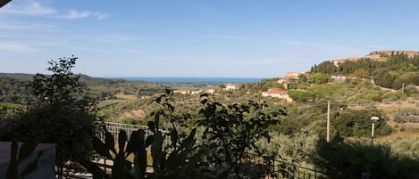 A view of a coastal landscape with buildings and vegetation.