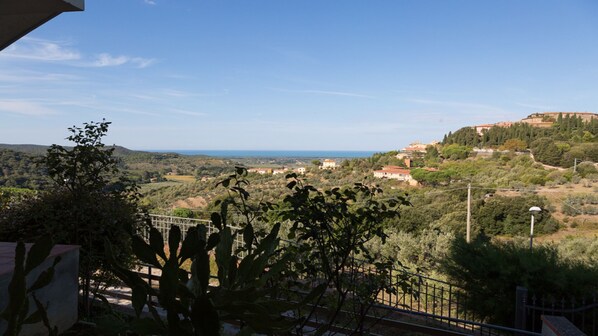 Vista de uma paisagem costeira com edifícios e vegetação.