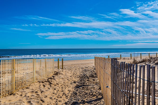 Playa en los alrededores 