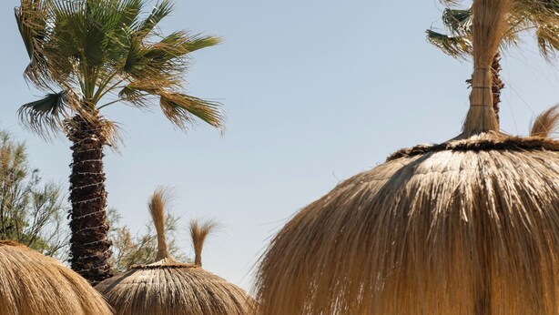 A beach with sun loungers and thatched umbrellas. - Masseria Calderisi (Fasano)