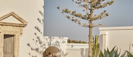 Un patio al aire libre con una mesa, sillas, una planta en maceta y un edificio con fachada blanca y una puerta.