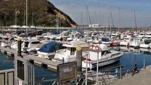 Una marina amb nombroses embarcacions amarrades, un paisatge amb turons al fons i un cel serè.