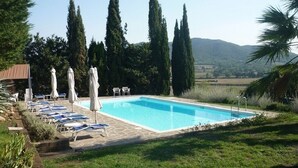 Une piscine rectangulaire bordée de pierres, entourée de chaises longues et de parasols.