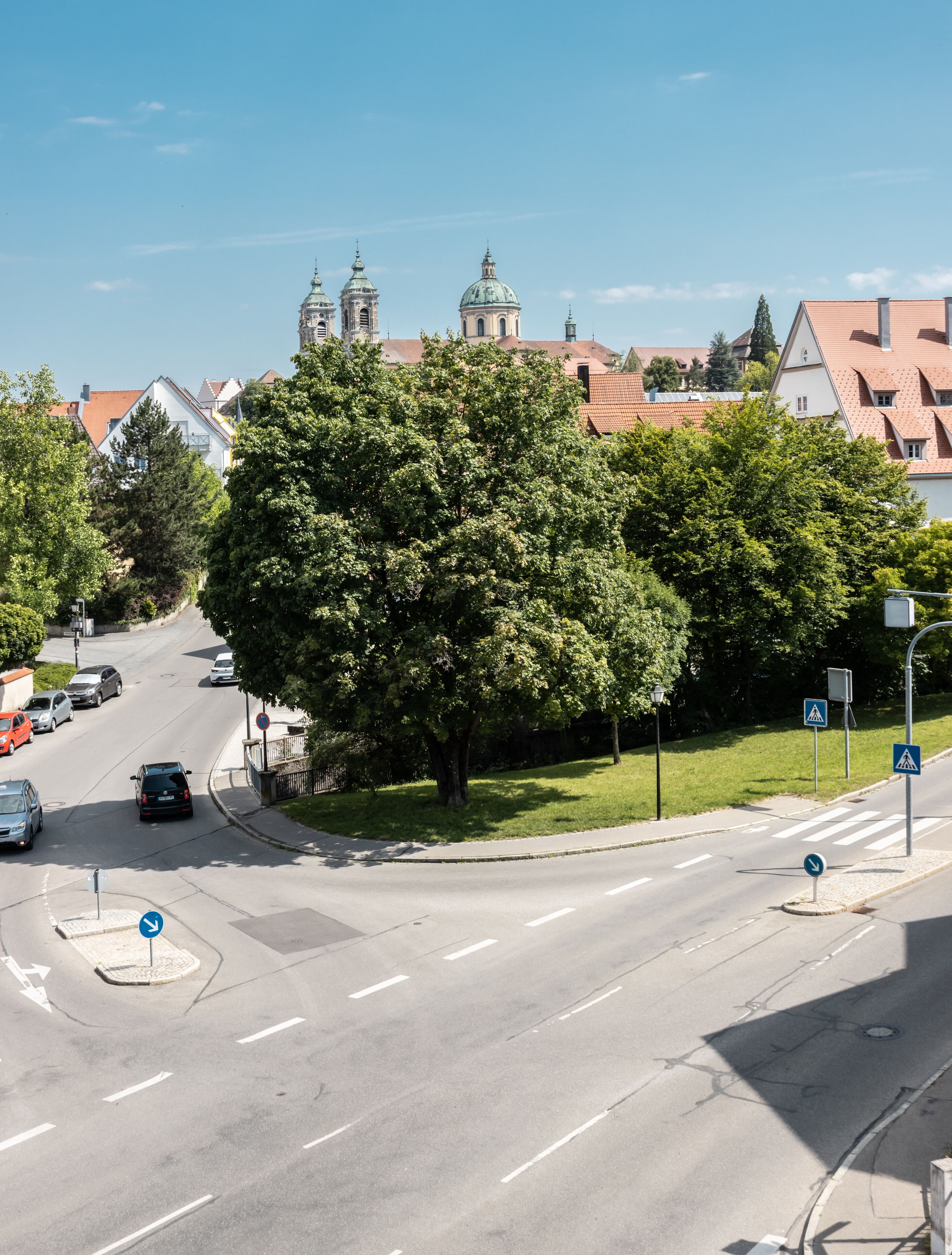 Straatbeeld met een grote boom, verkeersborden en gebouwen op de achtergrond.