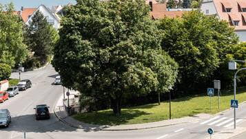 Une vue de rue avec un grand arbre, des panneaux de signalisation et des bâtiments en arrière-plan.