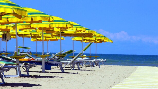 A beach with rows of sun loungers and yellow umbrellas.