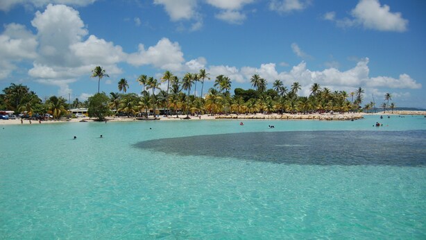 Une plage à l’eau turquoise et limpide, bordée de palmiers et d’un rivage sablonneux.