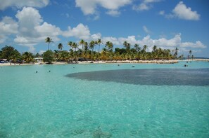 Una playa con aguas turquesas cristalinas, palmeras y una orilla arenosa.