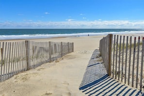 Playa en los alrededores